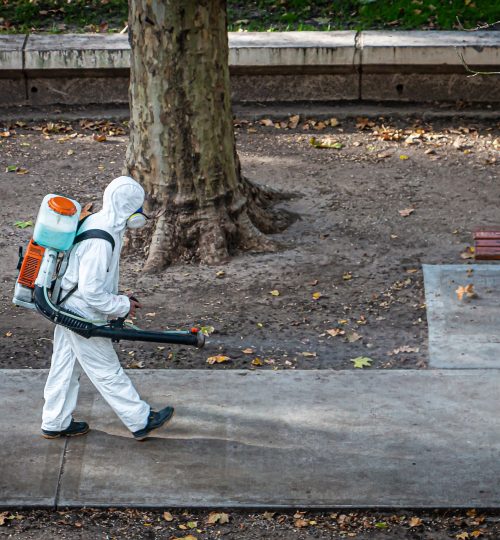 Image by Claudio Bianchi from Pixabay