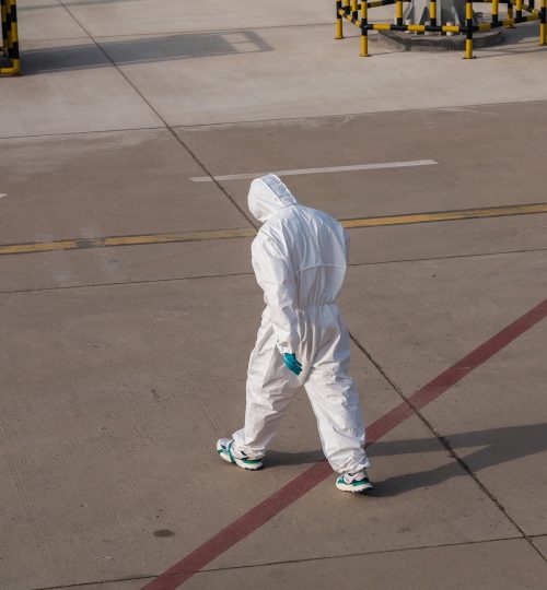 Image by Mario Hagen from Pixabay