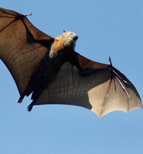 Photo by James Wainscoat on Unsplash